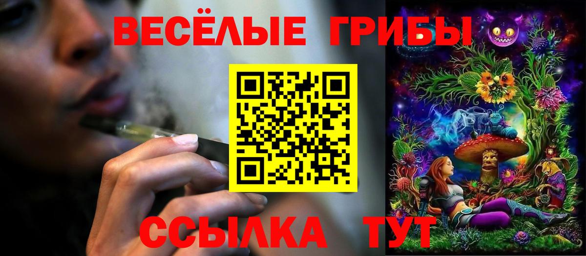 Псилоцибиновые грибы Psilocybe Ижевск