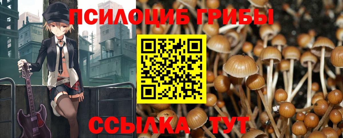 Ижевск  Галлюциногенные грибы мухоморы  где можно купить наркотик  Вход с VPN 
